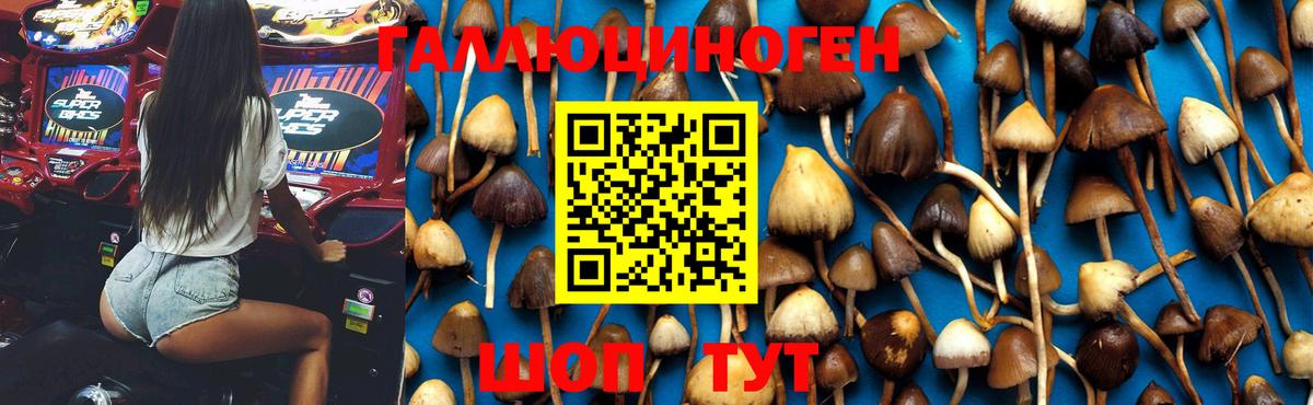 Псилоцибиновые грибы мухоморы Таганрог