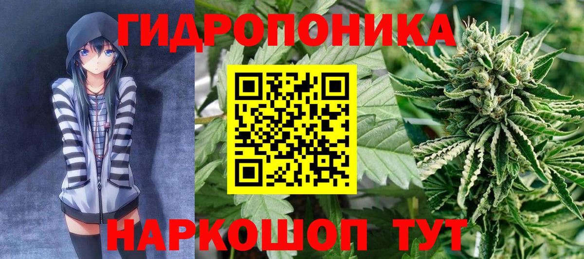 Каннабис SATIVA & INDICA Таганрог